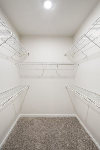 Empty walk-in closet with white walls and carpeted floor.